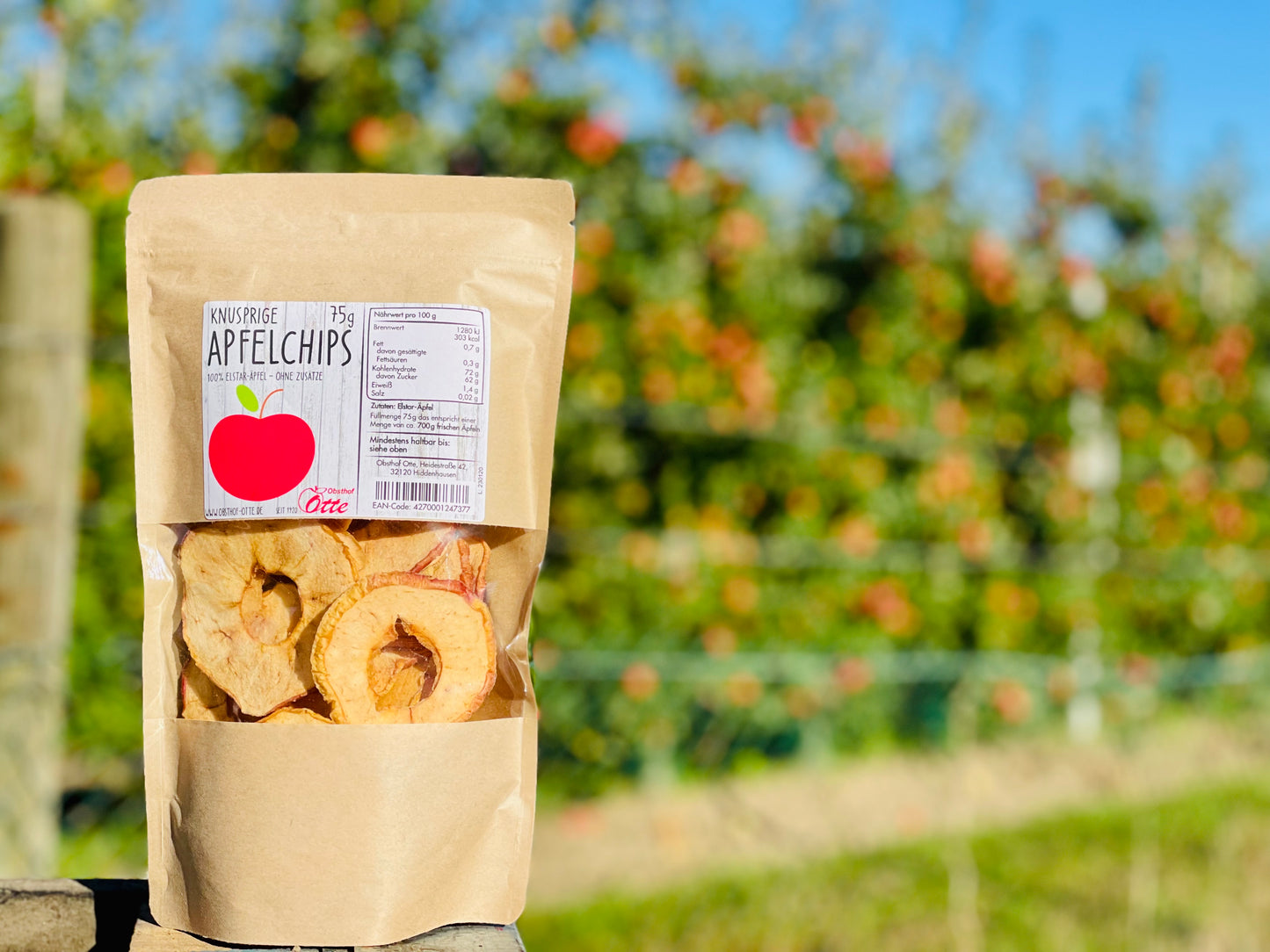 Apfel-Chips"knackig"