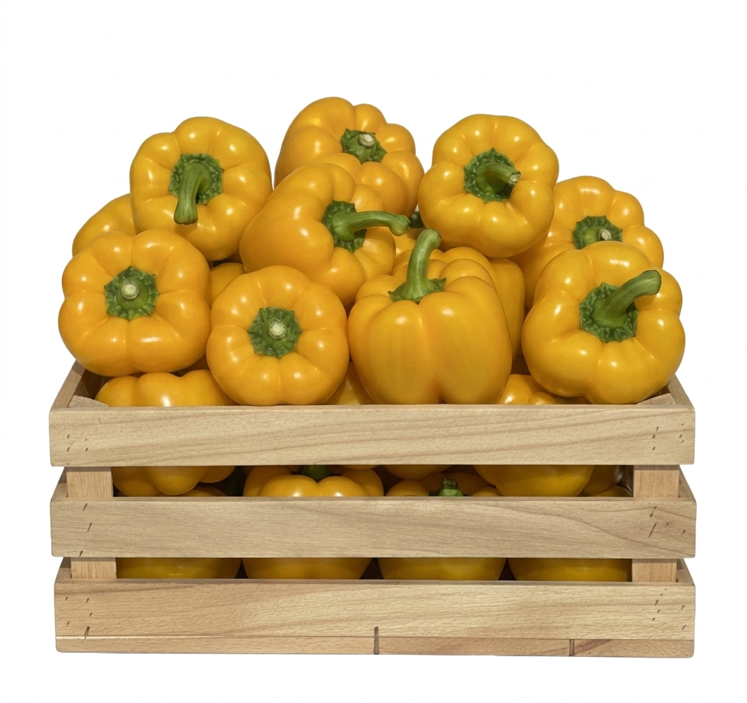Paprikas 500g - gelb