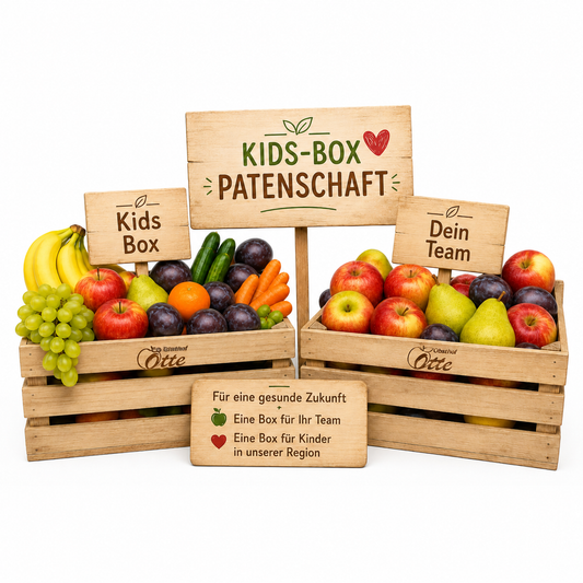 Kids Box Patenschaft
