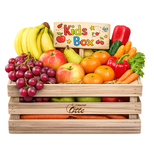 Otte-Kids-Box