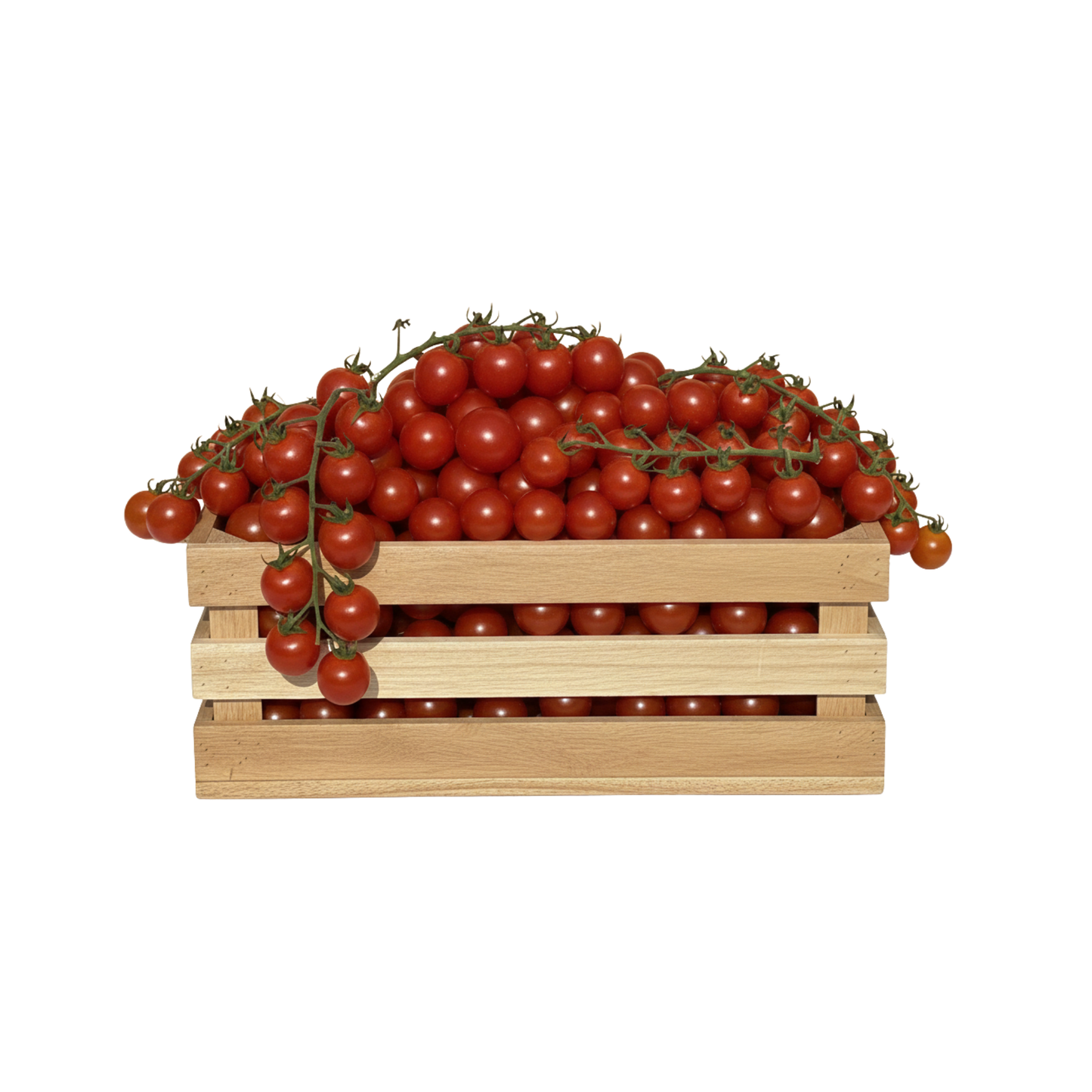 Mini Tomaten 500g