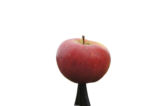 Äpfel vom Obsthof Otte