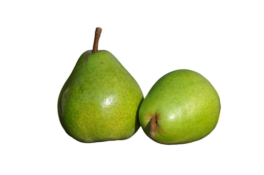 Birnen vom Obsthof Otte