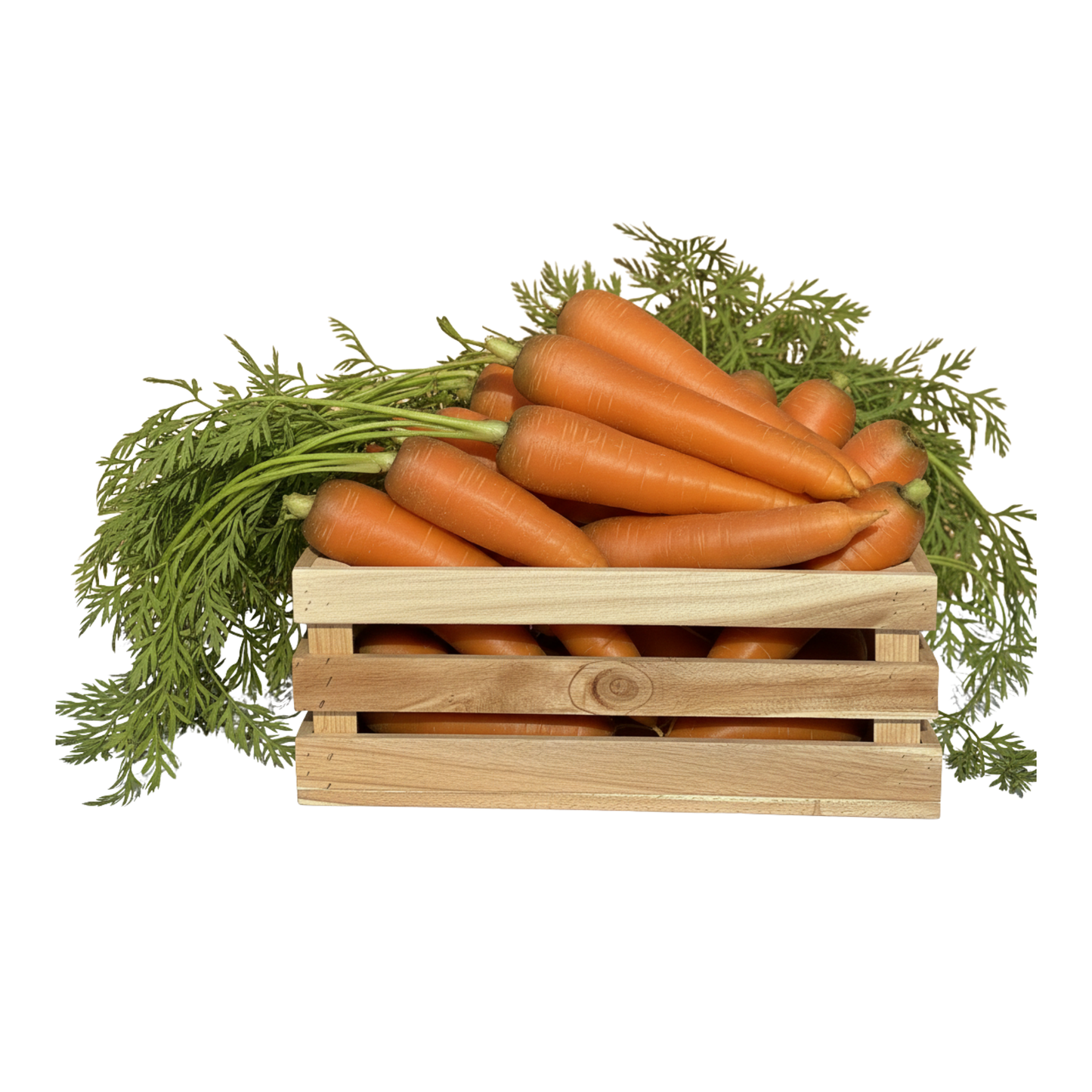 Möhren 500g
